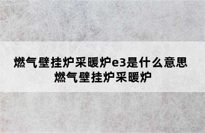 燃气壁挂炉采暖炉e3是什么意思 燃气壁挂炉采暖炉